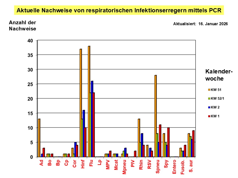 Balkendiagramm mit aktuellen PCR-Nachweisen von Atemwegserregern nach Kalenderwochen (KW 51, 52/1, 2, 1) im Januar 2026. Jeder Erreger ist durch farbige Balken dargestellt; Ad, Bo, Co, Hi, Fl, Li, Mpneu usw. sind auf der x-Achse beschriftet.